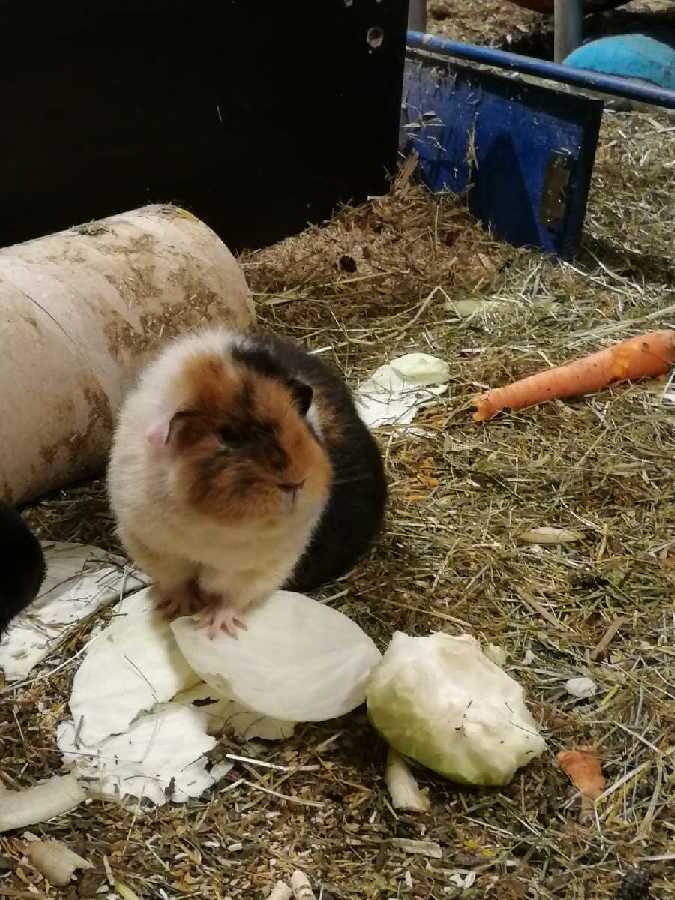 Ich bei der Gymnastik (sportlich bleiben)